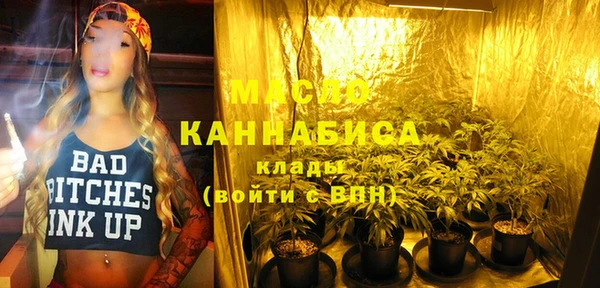 гидропоника Горняк