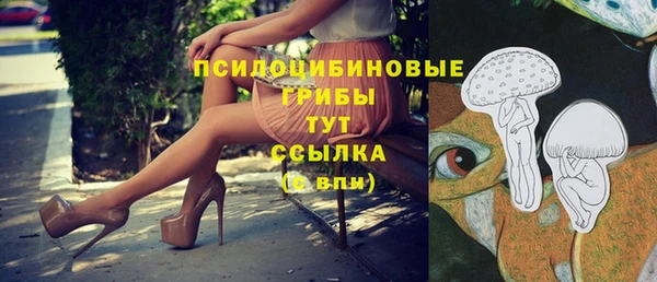 гидропоника Горняк