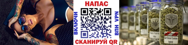 Канабис конопля  Купить  Кадников 